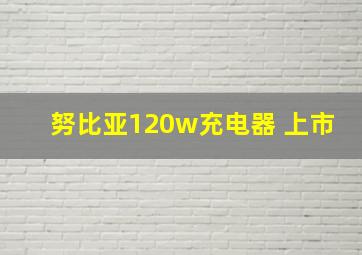 努比亚120w充电器 上市